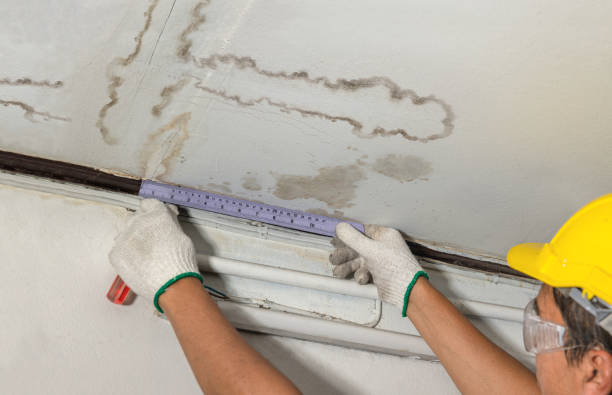 Reliable Structural Drying contractor in Farmersville, TX by Water Damage Irwin